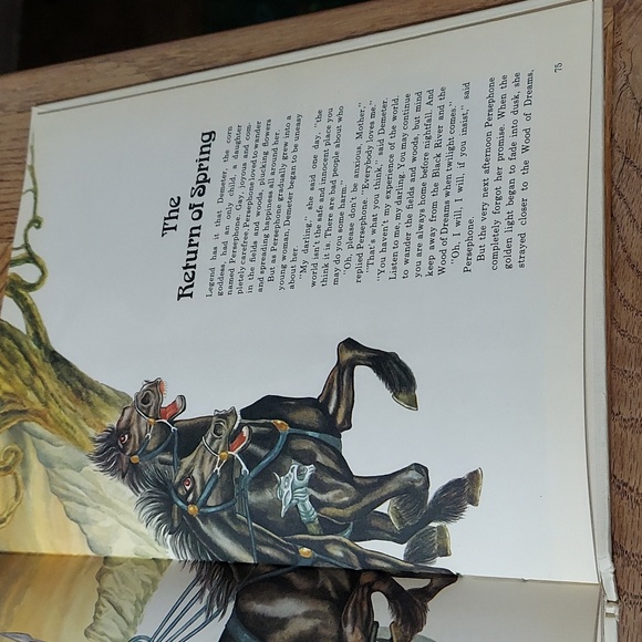 The Full Color Fairytale Book - Picture 12 of 16